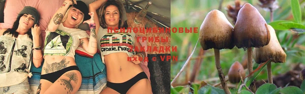 бутик Новозыбков